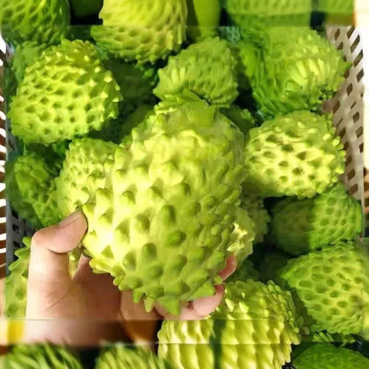 正宗新鲜牛奶释迦果新鲜凤梨大果当季新鲜水果整箱包邮