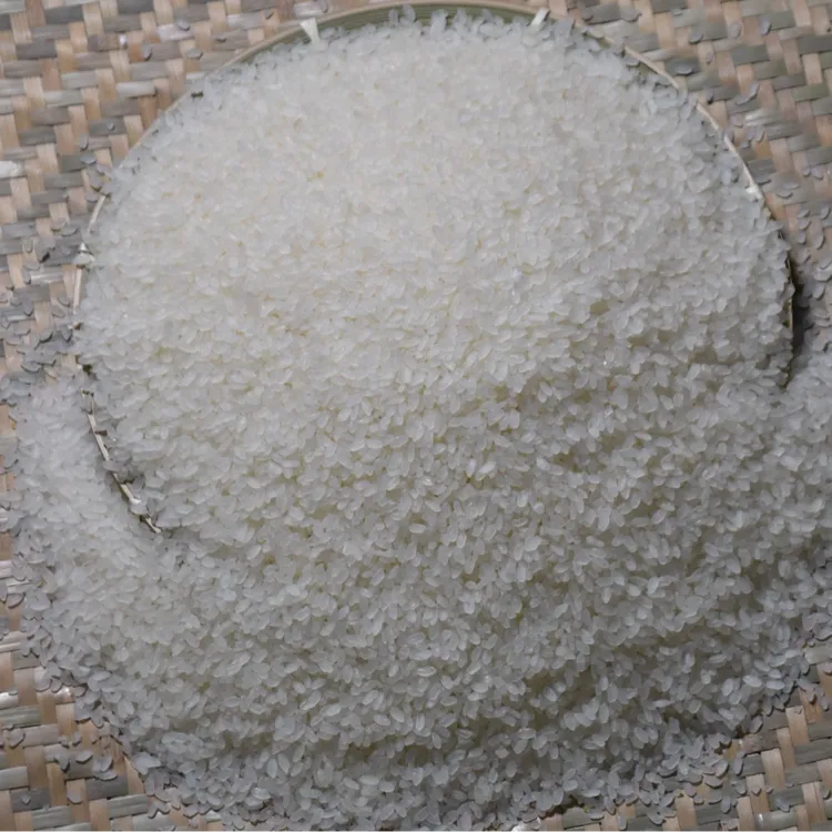 重庆万州阴米纯圆蒸熟高山四川月子米煮粥散装农家糯米袋装阴米