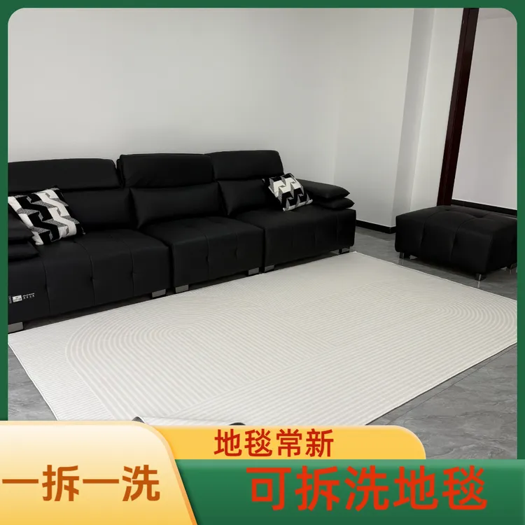 艾登美双层可拆洗机洗地毯客厅沙发茶几地毯垫意式轻奢法式奶油风