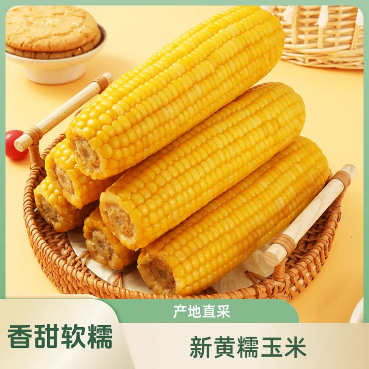 黄糯玉米香甜软糯粗粮 软粘玉米棒 整箱10支5-5.5斤