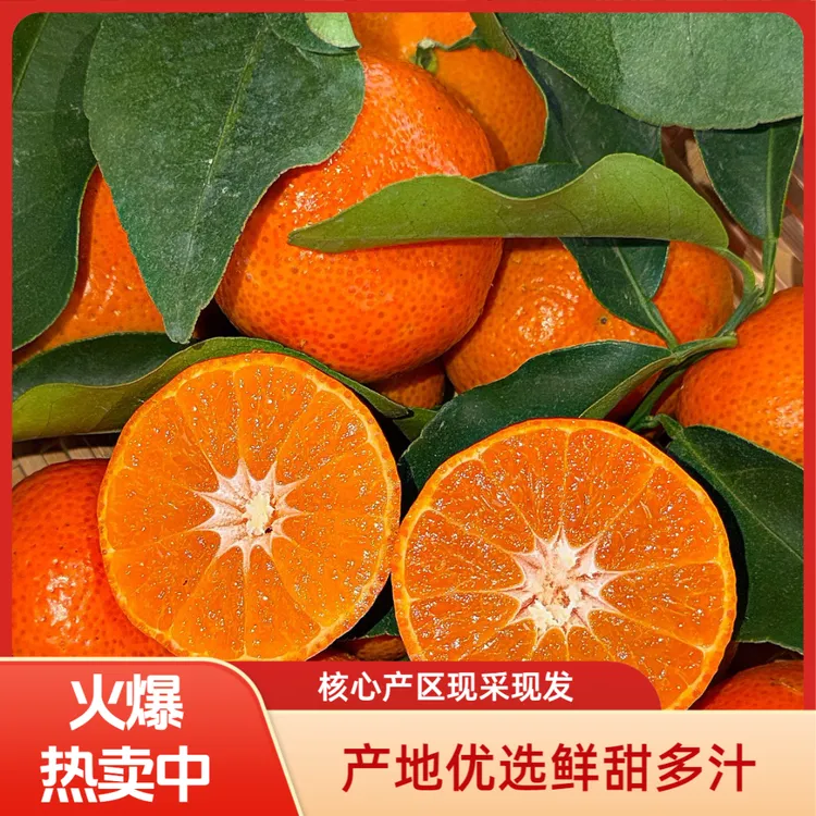 果农自家果园正宗金秋蜜橘砂糖橘香甜多汁孕妈水果无添加