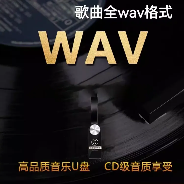 【百万调音师】Hi-Res音乐WAV人声流行粤语DJ综合车载U盘 13