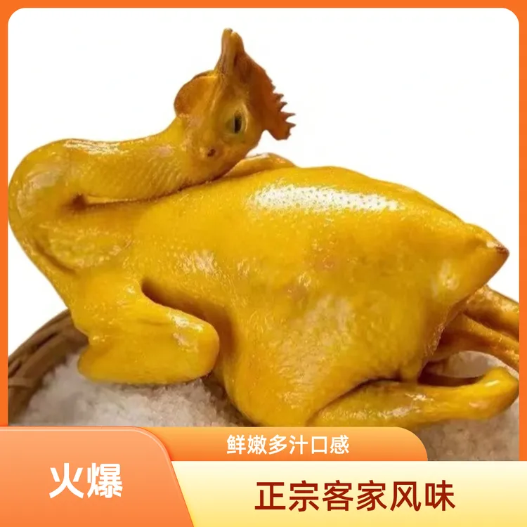 客家古法五指毛桃盐广东特产到手2只共1400g-1600g传统工艺