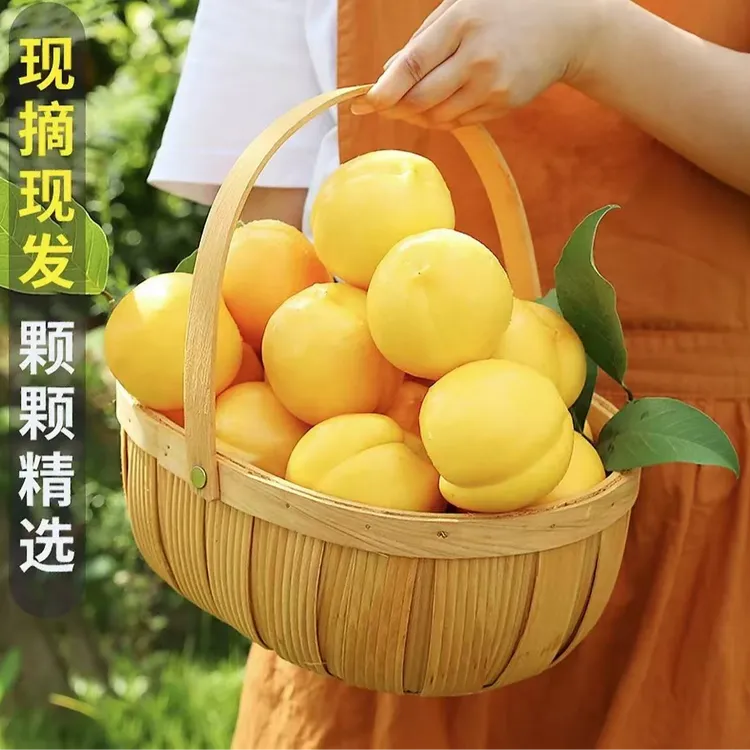 【喜子夫妇】蒙阴蜜桃黄金油桃新鲜黄金蜜桃脆甜黄油桃应季水果