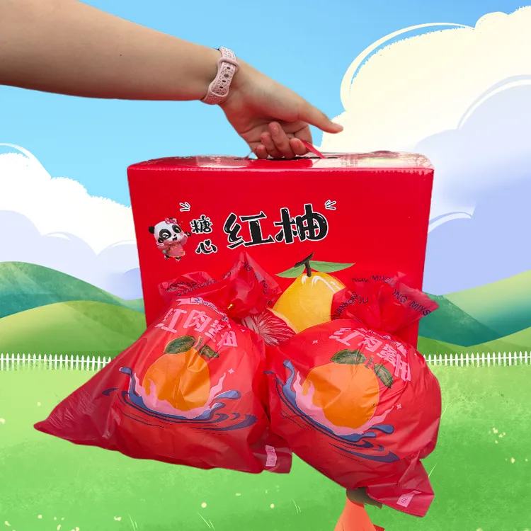 福建漳州平和红心蜜柚现摘新鲜水果精品礼盒装