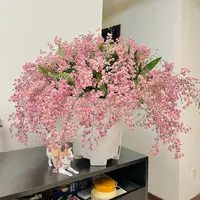 【云舍花卉】15剑【粉色梦香兰】盆栽