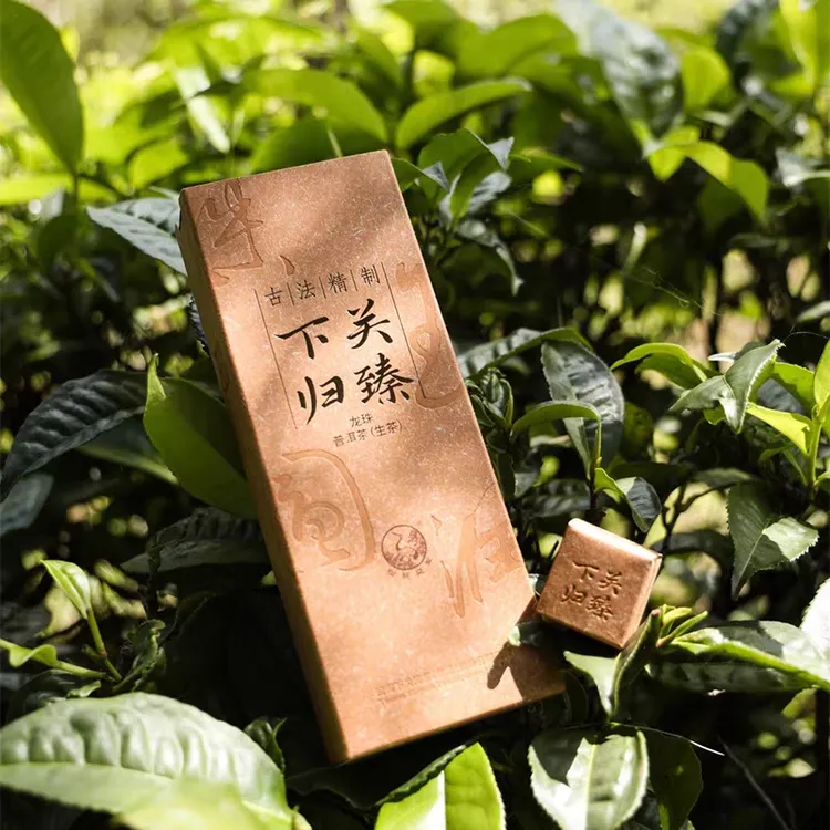 下关沱茶 下关2025年归臻昔归古树龙珠 96克/盒 普洱生茶 