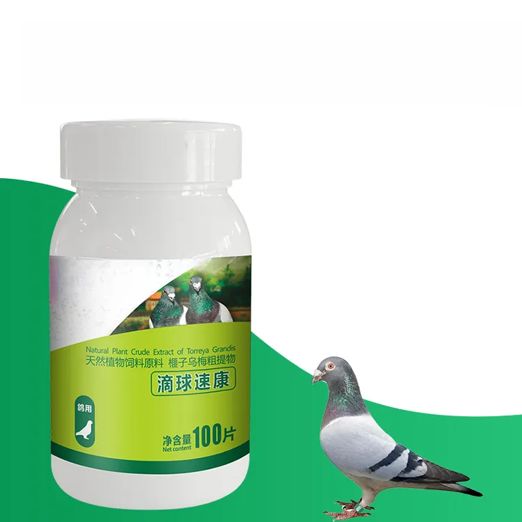 【专业赛鸽】滴球速康二合一口黄鸽子专用品赛鸽用品