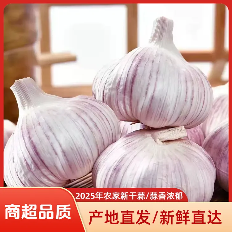 【2025新干蒜】邳州净蒜农家自种紫白皮干大蒜自然晾晒辛辣头大蒜