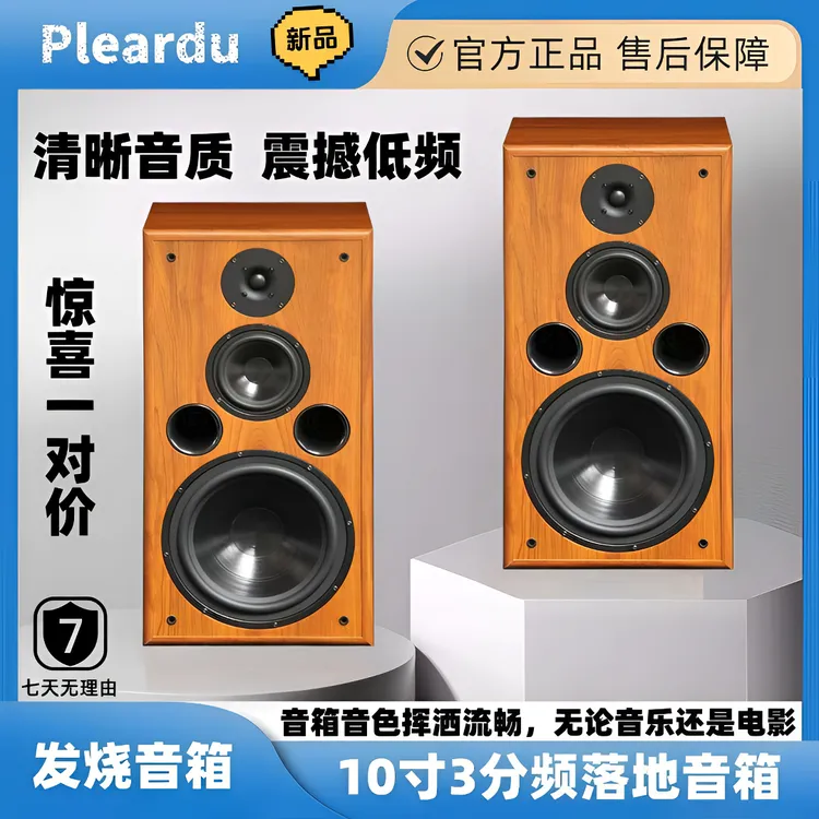 丹麦出口一对10寸落地音响hifi家用桌面书架音箱家庭k歌电视音响
