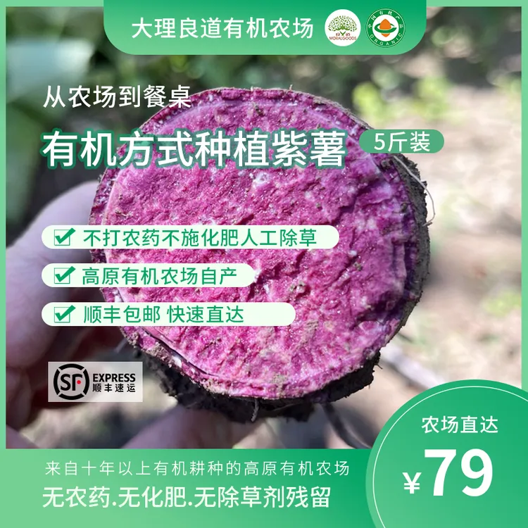 良道云南高原有机农场自产 | 有机方式种植紫薯 软糯香甜无渣