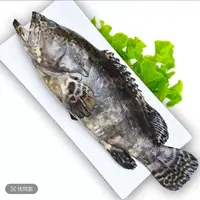 【一霏】石斑鱼海鲜营养清蒸活鱼现冻一条1.8-2斤左右到手2条