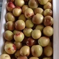 【富贵专属】新疆冬枣2公斤顺丰包邮补气血新疆维吾尔自治区