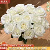 『白玫瑰10枝』家用云南鲜切花 满两单鲜花顺丰京东包邮 满三单鲜花送花瓶 直播次日达包邮