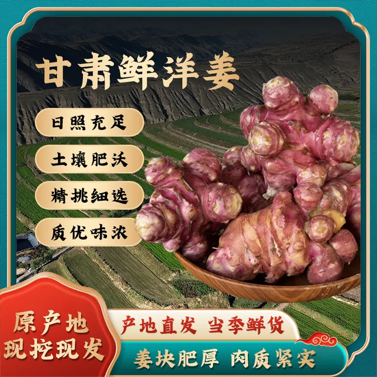 农雁玲高原现挖红皮洋姜大小混装/菊芋/胰岛果/炒拌腌泡酱菜煲汤