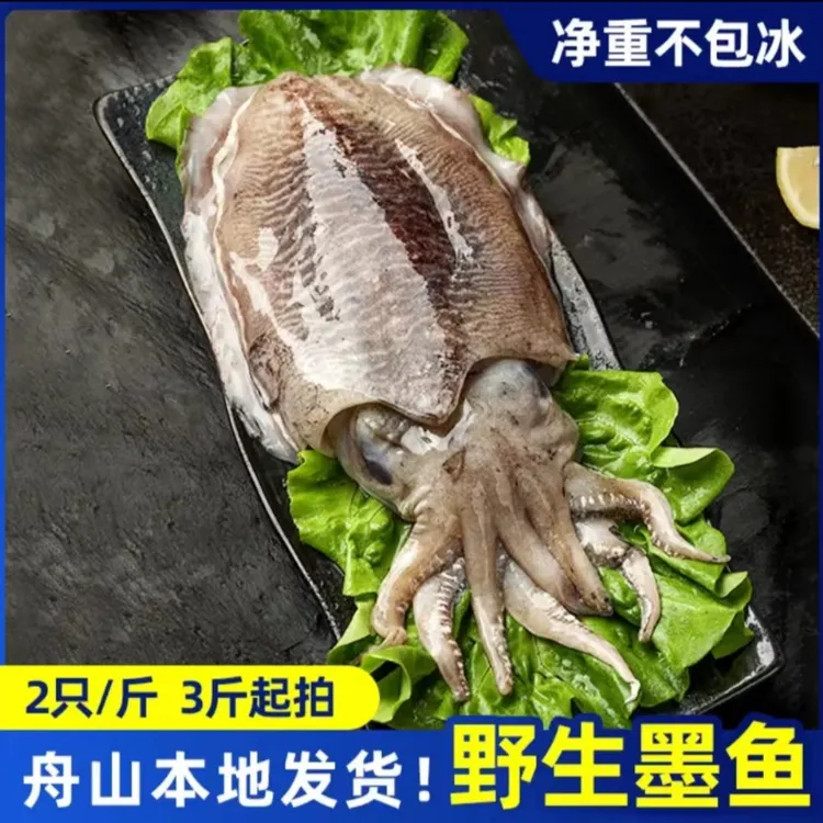 舟山东海鲜嫩冰鲜墨鱼500g/两只，舟山本地发货新鲜墨鱼