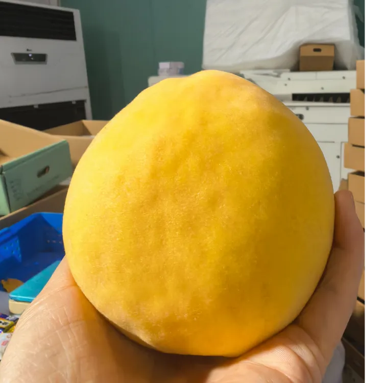 奉贤锦绣黄桃现摘现发