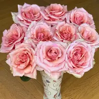 【云舍花卉】【娜美】单头玫瑰 全场任意满两单及以上鲜花包邮