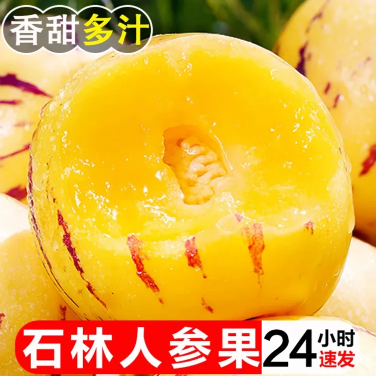 云南石林黄肉人参果圆果新鲜摘低糖水果当季熟果圆果3/5斤整箱
