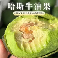 【新果来喽】2025年云南国产哈斯牛油果 绵密细腻