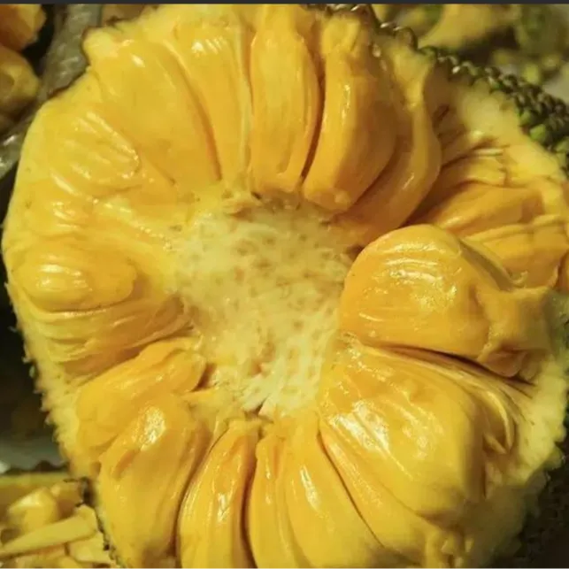 【包邮】海南三亚黄肉菠萝蜜新鲜美味干苞香甜