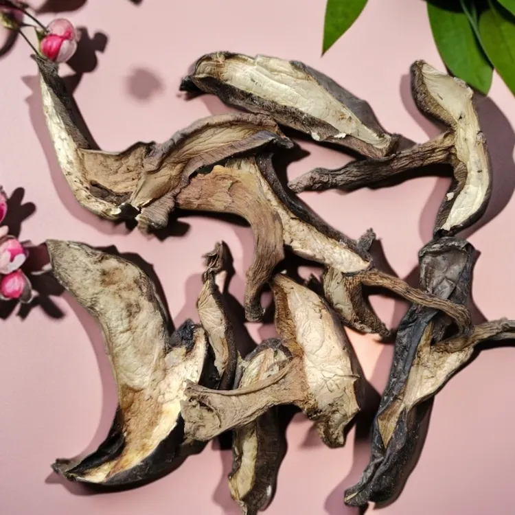 云南农产品，黑牛肝菌毛边美味解馋零食，晚上粒上皇沃隆生柿子叶