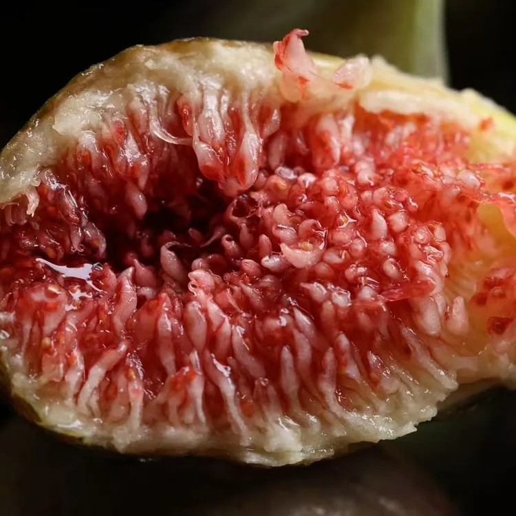 云南无添加剂纯无花果干高成熟度制作蜜香蜜甜冷藏或者冷冻保存