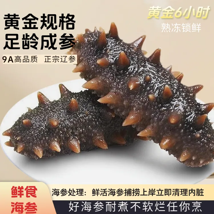 【三斤装】15-24头正宗大连辽刺参即食海参高营养肉质肥厚独立包装