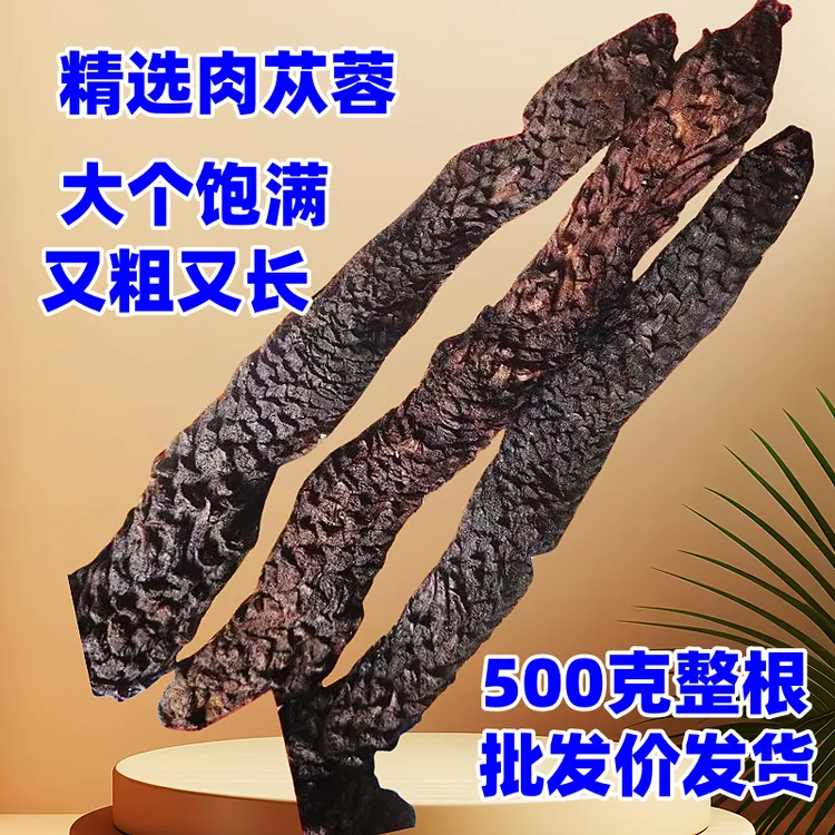 阿拉善肉苁蓉整根500克精选大个大芸油苁蓉肉丛蓉泡水泡酒料