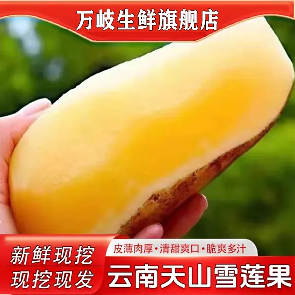 【彩箱气柱】云南天山雪莲果新鲜黄心雪莲果水果新鲜脆爽多汁3-9斤商品图