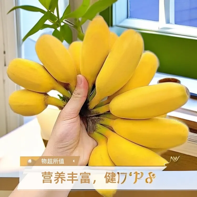 【现摘青果】广东正宗苹果蕉当季糯香甜薄皮新鲜香甜青皮香蕉整箱装