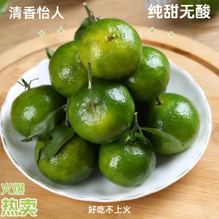 【广西茶橘】清香橘清香蜜桔巴西柑茶橘纯甜无酸 果园现摘新鲜包邮
