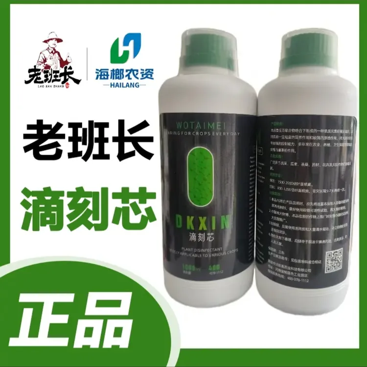 老班长滴刻心  正品