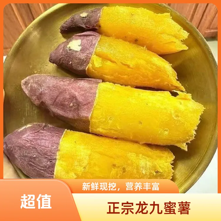 湖北正宗龙九蜜薯新鲜现挖软糯榴莲蜜薯红薯粗粮早餐辅食代餐