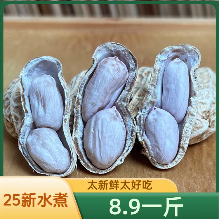 8月新水煮白玉咸干花生不脆硬有嚼劲