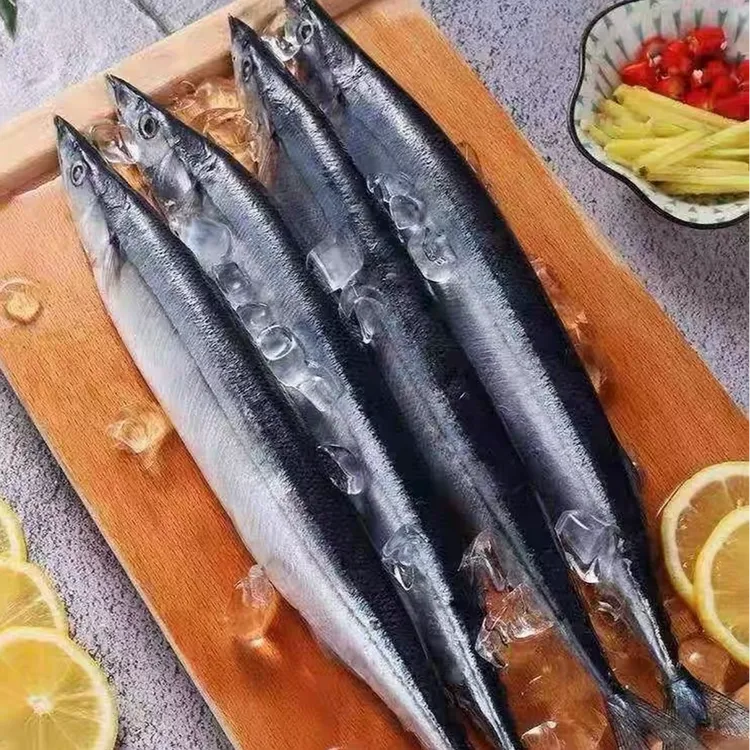 秋刀鱼 6条左右/斤 新鲜冷冻 烧烤食材 海钓鱼饵 顺丰包邮次日达