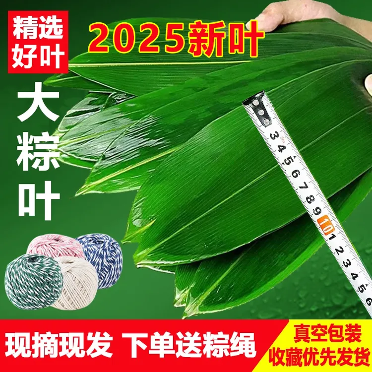 【低价起量】粽叶免邮粽子叶新鲜大号新叶宽棕叶干包端午节DIY模具