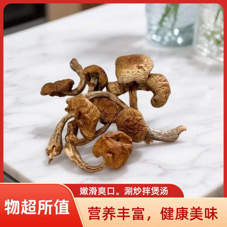 东北滑子菇干货可用于小鸡炖蘑菇的菌菇
