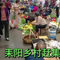 湖南衡阳耒阳农村赶集新鲜蔬菜当季农产品