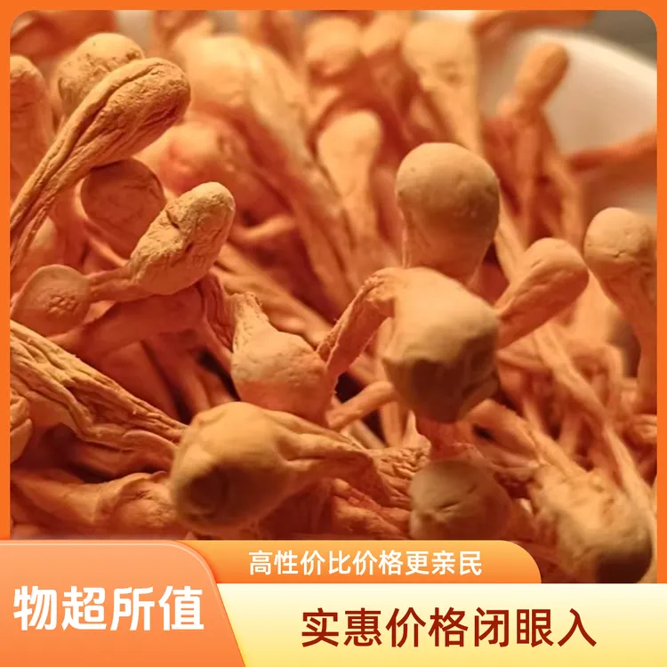 鲜千寻虫草花干货无硫朵大饱满泡发率高煲汤鲜炒菜干货蛹虫草