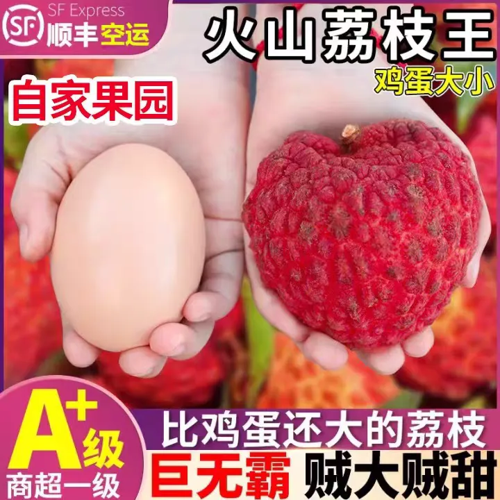 2025年海南火山荔枝王新鲜现摘现发荔枝王巨无霸水果新鲜当季整箱