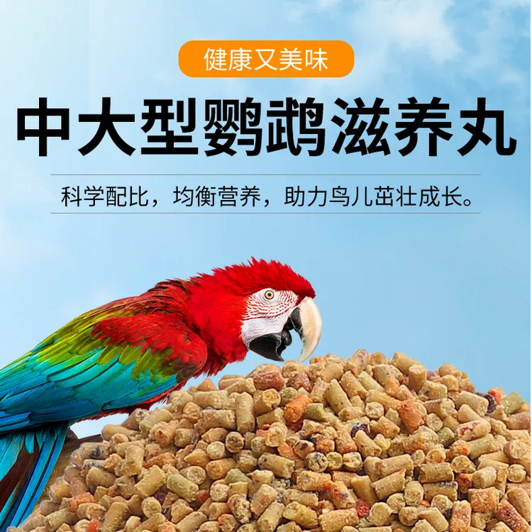 鹦鹉滋养丸鸟粮中大型金刚葵花和尚灰机金太阳折中鸟食专用饲料