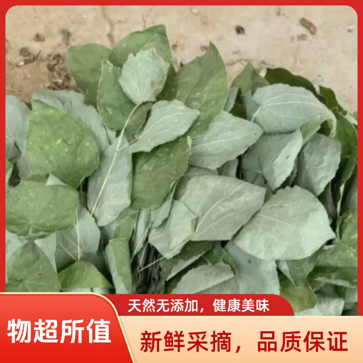 东北长白山小叶草干货大叶草（淫羊藿）野外采摘泡水泡酒三枝九叶草