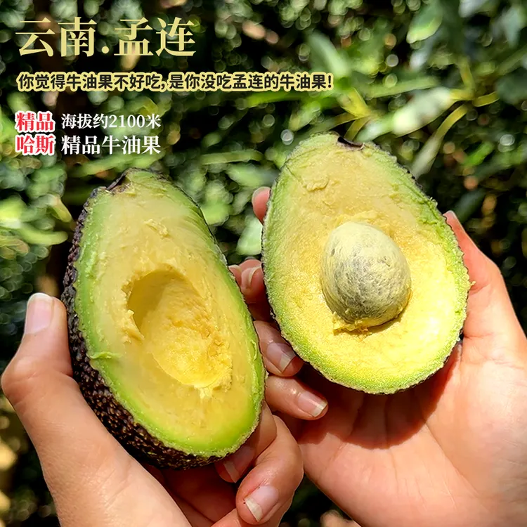 【小云张张专属】云南出口A级果孟连哈斯牛油果新鲜水果鳄梨辅食