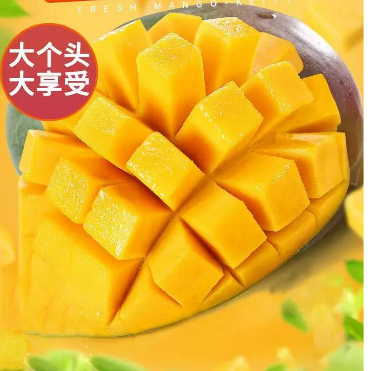 攀枝花凯特芒果酸甜多汁核小肉多当季新鲜水果带箱五斤3-6个果