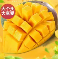攀枝花凯特芒果酸甜多汁香味浓郁新鲜现摘水果带箱五斤3-6个果