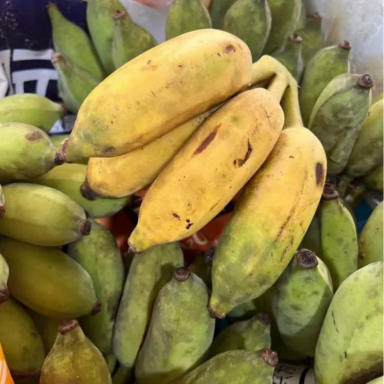 宇哥专属海南半野生芭蕉（丑蕉）当季新鲜水果自然熟现摘现发