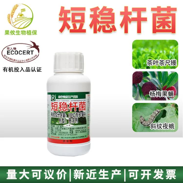 短稳杆菌茶叶茶尺蠖小菜蛾斜纹夜稻纵卷叶螟虫杨梅果蝇有机杀虫剂