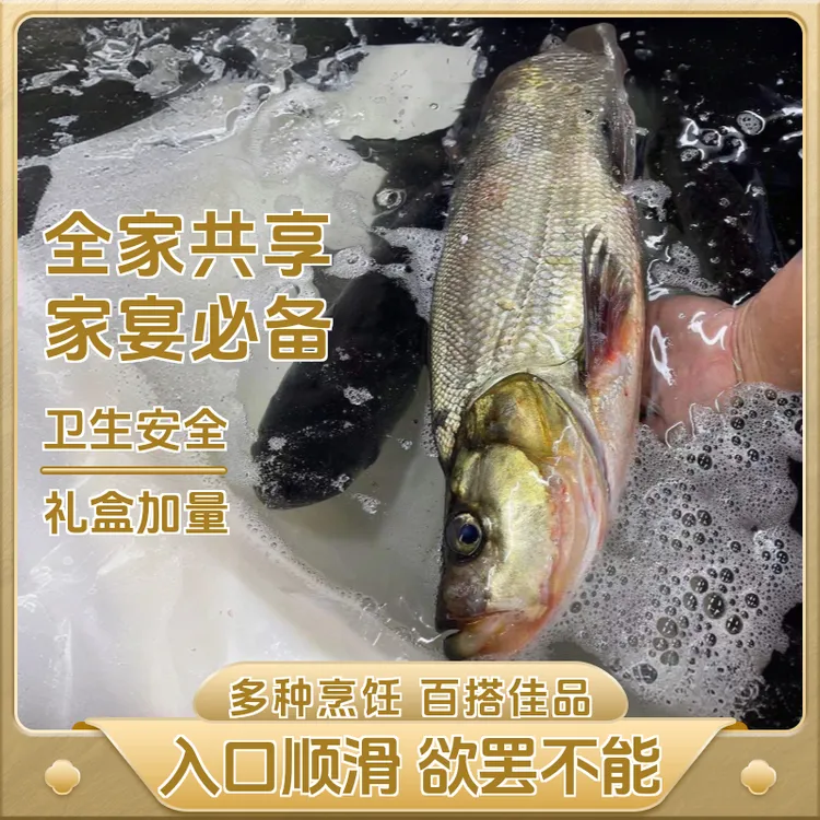 【买7送1】生态翘嘴鲌大白刁真空速冻独立礼盒包装鲜美