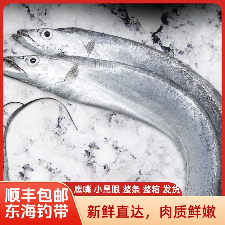 *【大带】纯正舟山新鲜东海小眼睛带鱼整条带鱼 可蒸 舟山狗哥 B